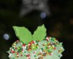 mini holly christmas cupcakes
