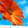 sunshine blog award