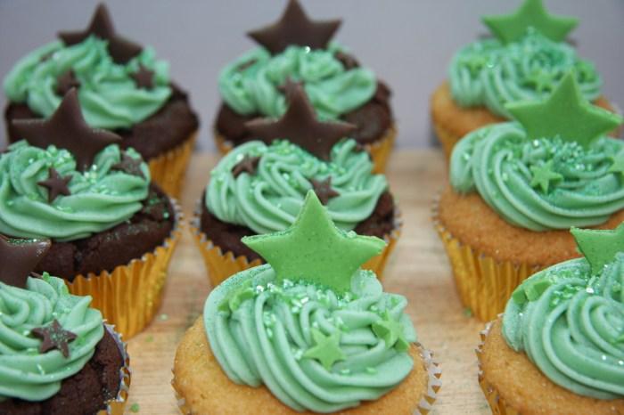 chocolate vanilla cupcakes