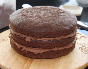 chocolate sponge