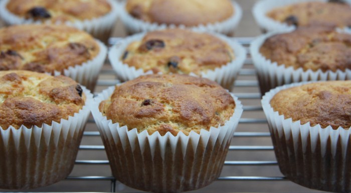 lemon cranberry muffins