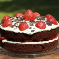 chocolate strawberry cake