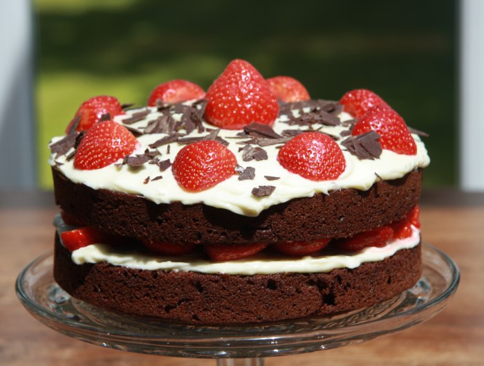 chocolate strawberry cake