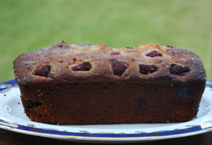 raspberry and yogurt bread