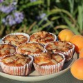 apricot muffins