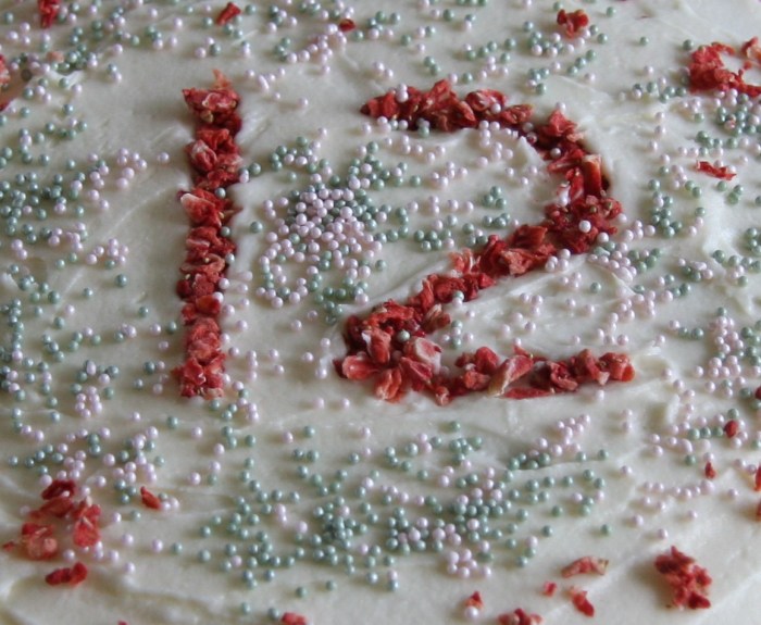 freeze dried strawberries