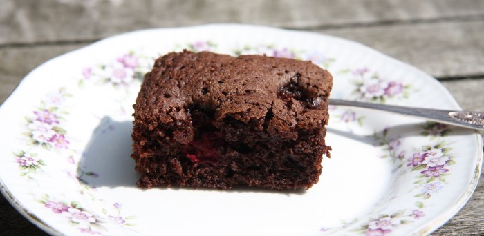raspberry brownies