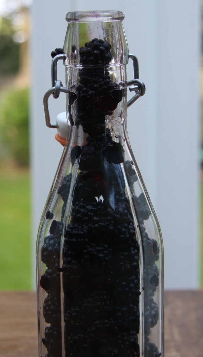 blackberry gin