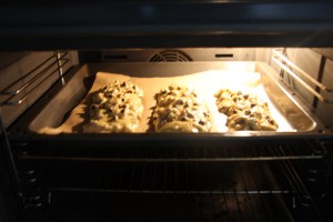 Terrible photo of biscotti "logs"!