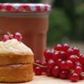 redcurrant curd sponge