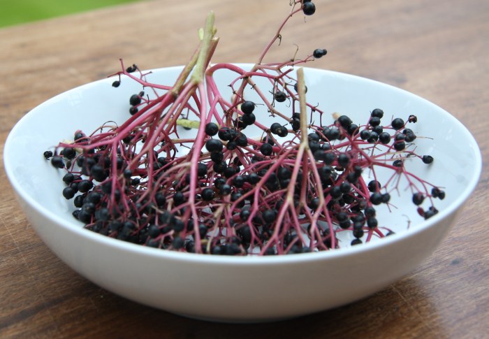 elderberries