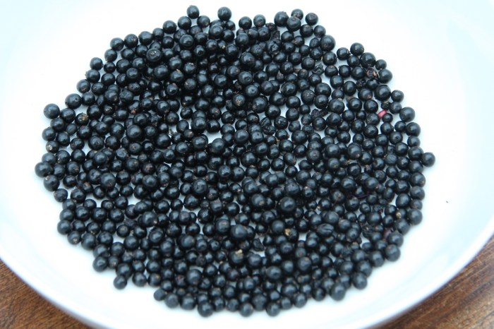 elderberries