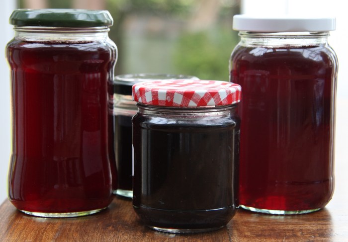 Redcurrant Jelly and Blackberry Jelly