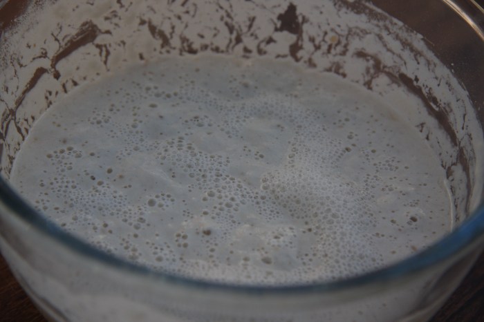 sourdough sponge