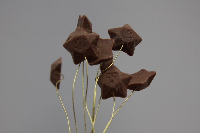 chocolate cake topper