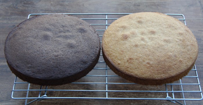 half chocolate half vanilla cake