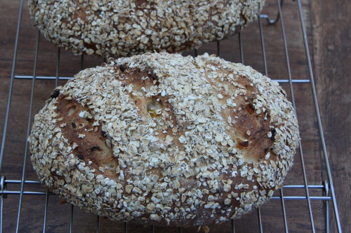 apricot and oat bread