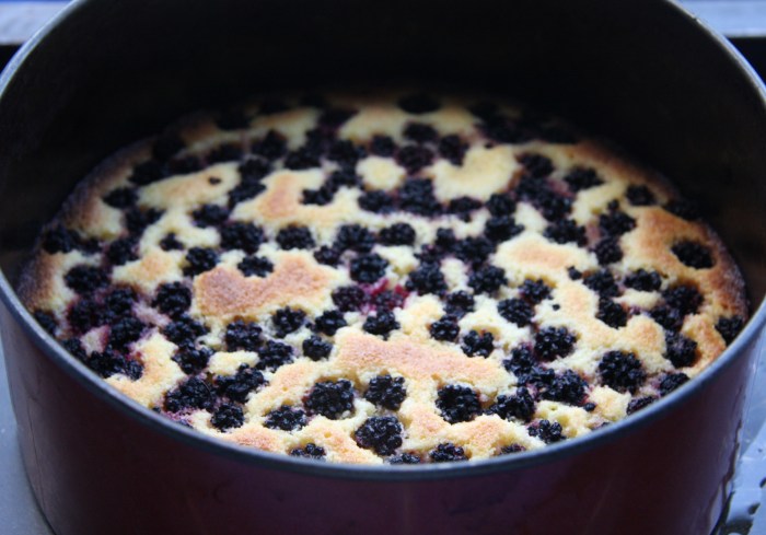 blackberry polenta cake