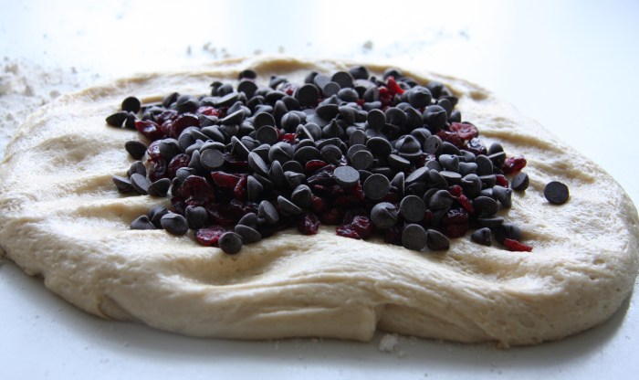 chocolate cranberry buns