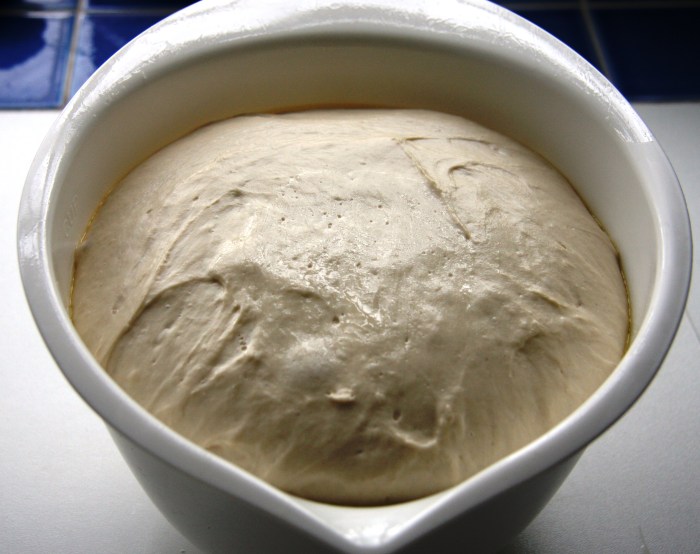 ciabatta dough