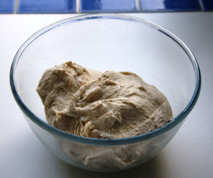 sourdough dough