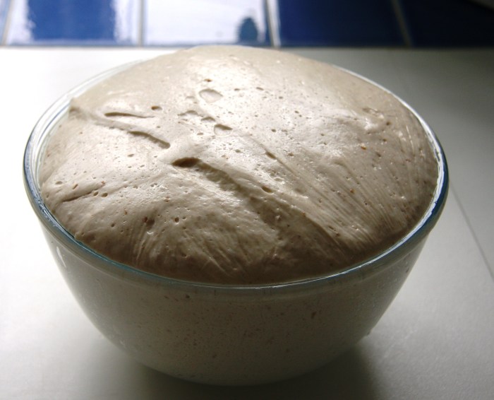 sourdough dough