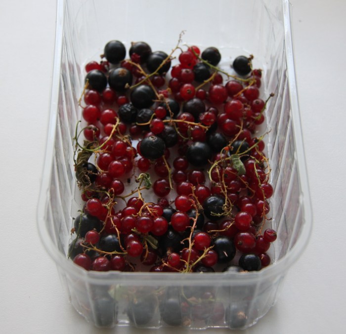 blackcurrants redcurrants