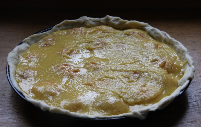 apricot tart