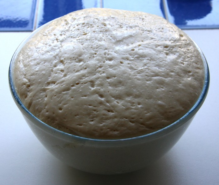enriched bread dough