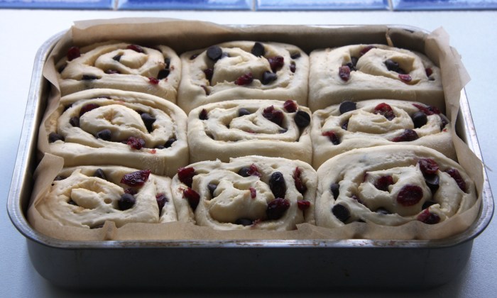 cranberry chocolate buns
