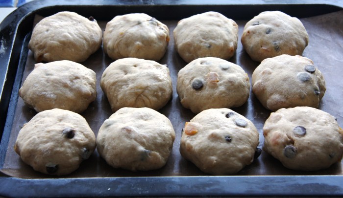 chocolate apricot buns