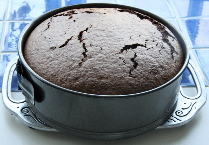 Rich chocolate cake gluten free