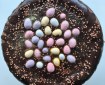 easter chocolate cake