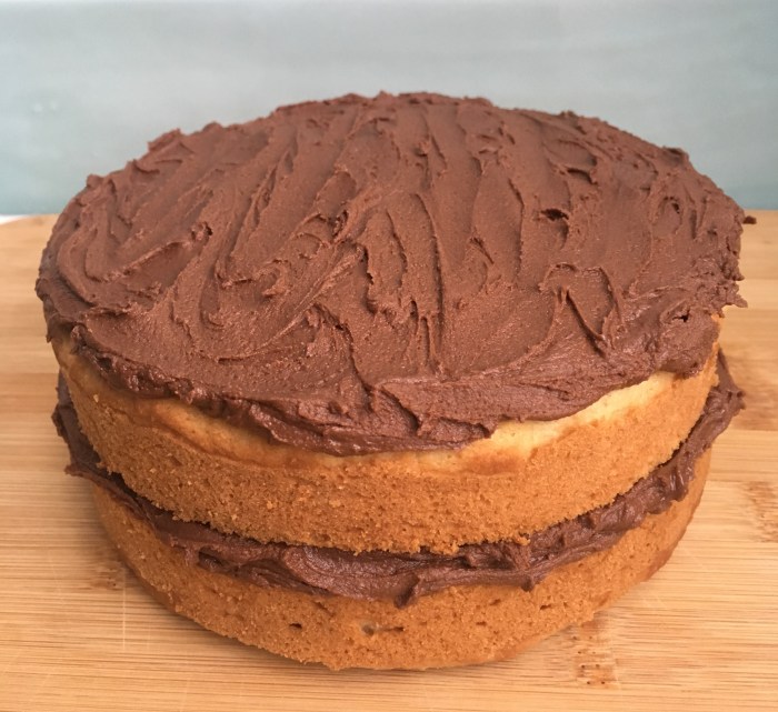 chocolate coconut vegan cake