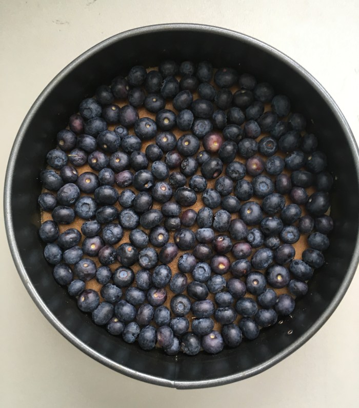blueberry cheesecake