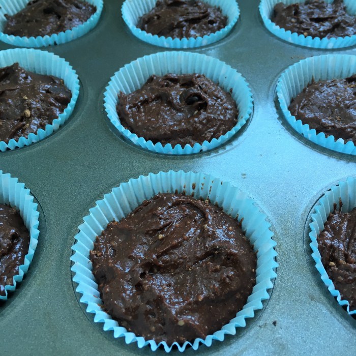 chocolate gf muffins