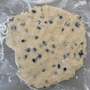 lemon and blueberry scone dough, rolled out